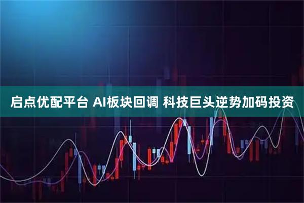 启点优配平台 AI板块回调 科技巨头逆势加码投资