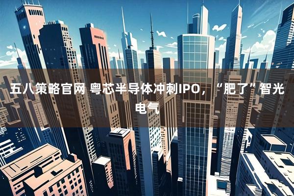 五八策略官网 粤芯半导体冲刺IPO，“肥了”智光电气