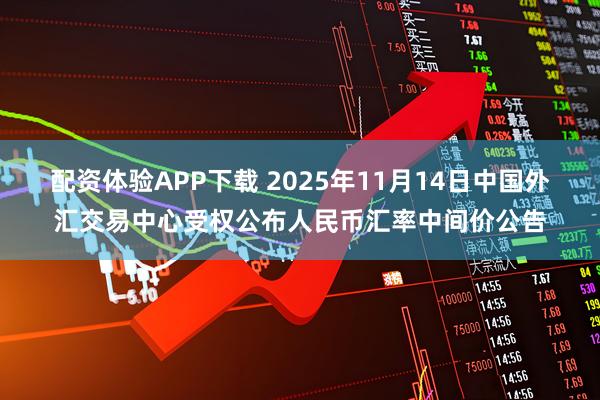 配资体验APP下载 2025年11月14日中国外汇交易中心受权公布人民币汇率中间价公告