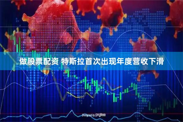 做股票配资 特斯拉首次出现年度营收下滑