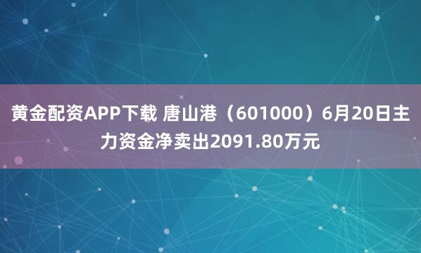 黄金配资APP下载 唐山港（601000）6月20日主力资金净卖出2091.80万元